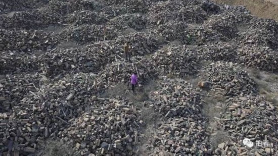 俠客島:甘肅祁連山為何又上了環(huán)保頭條?